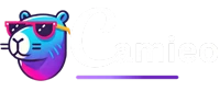 Camieo Wordpress SEO Mlti-site Automation Tool with AI